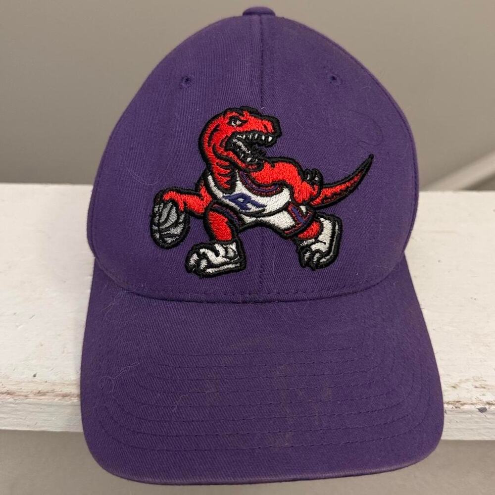 Mitchell ness toronto raptors
